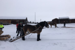 Lupin-Boy-Thomas-Eva-Steve-Patrik