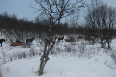 IMG_4412-1024x768