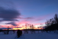 D62FF15D-A681-4CB2-A662-3499D4467639