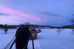 FDFDE32F-9604-4583-A3AB-D54AF60B0D95