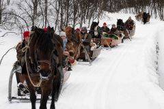 Genom-fjallskogen-__ARG2469_WEBB_Foto-AnnaReet-Gillblad