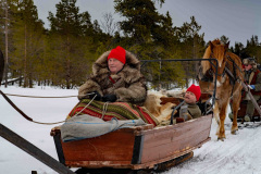 Glad-medakare-och-kusk__ARG8702_WEBB_Foto-AnnaReet-Gillblad