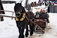 Kohl-i-Roros__ARG2697_WEBB_Foto-AnnaReet-Gillblad