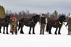 LO-Tre-stamhastar__ARG8661_WEBB_Foto-AnnaReet-Gillblad