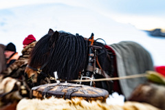 Pa-Malmplatsen__ARG8781_WEBB_Foto-AnnaReet-Gillblad