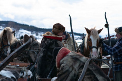 Paus__ARG8412_WEBB_Foto-AnnaReet-Gillblad