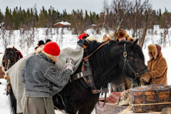 Paus__ARG8611_WEBB_Foto-AnnaReet-Gillblad