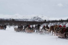 Pavag-__ARG2435_WEBB_Foto-AnnaReet-Gillblad