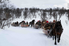 Pavag-__ARG2452_WEBB_Foto-AnnaReet-Gillblad