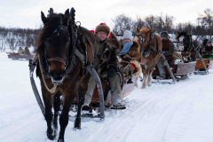 Pavag-__ARG2460_WEBB_Foto-AnnaReet-Gillblad