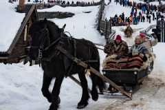 Siljar-i-Roros__ARG2690_WEBB_Foto-AnnaReet-Gillblad