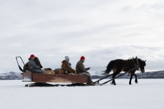 Vallmo-pa-sjon__ARG2539_WEBB_Foto-AnnaReet-Gillblad