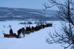 Vi-vander__ARG2382_WEBB_Foto-AnnaReet-Gillblad