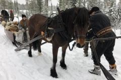 Tjarli-Anette-och-Hakan