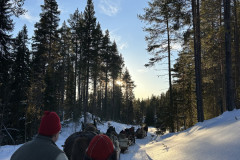 IMG_3562