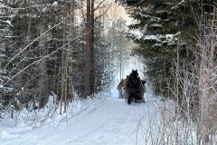 5gxiSJOo9RjlfI2PklRyzfE7QGHDAccpn4d6AG77-scaled