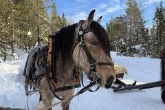 EhVthZ5TVuDDMJuqf7hTCequ204GWKHLl2xVxFRl-scaled