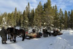 ZVYwNFuubpxNstIk9EORO6qHY19w45sCve7uUdnp-scaled