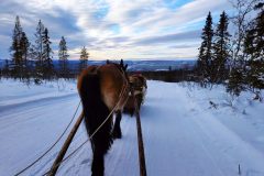 xgP4YaZld7lhs04oIbZ3uHwRfFQz5hcwltBYaZgN-scaled