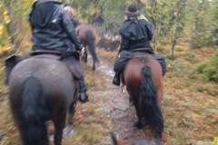 Ridtur2