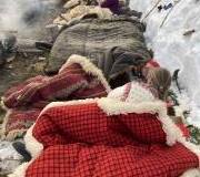 God-morgon-vid-stockelden