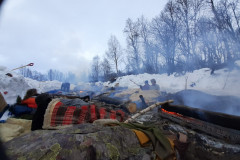 Morgon-vid-stockelden