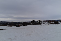 thumbnail_20220324_095746