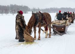 Paus i snöyran__ARG8726_WEBB_Foto AnnaReet Gillblad.jpg