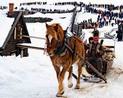Troll WE i Röros__ARG2670_WEBB_Foto AnnaReet Gillblad.jpg