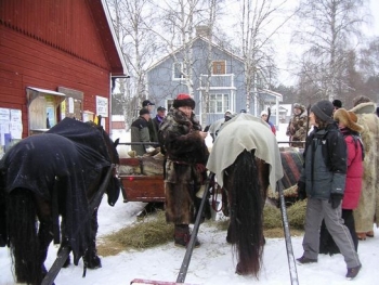53.jpg