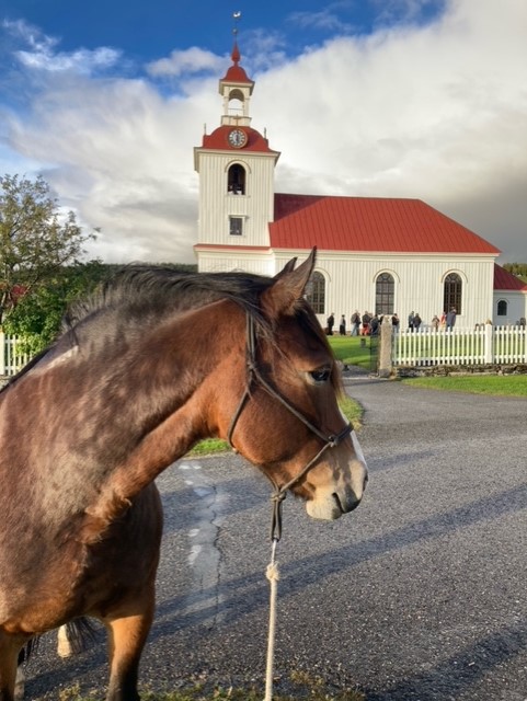 Häst vid kyrkan1.jpg