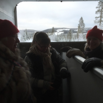 3-första-dagen-5-hästtransport-uppför-1024x1024.jpg