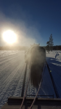 7-Femte-dagen-4-upp-mot-Hållan-576x1024.jpg