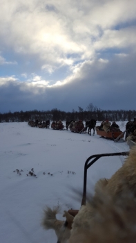 7-Femte-dagen-7-mot-trädgränsen-576x1024.jpg
