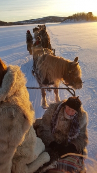 9-Sjunde-dagen-1-Alfs-björk-hälsas-576x1024.jpg