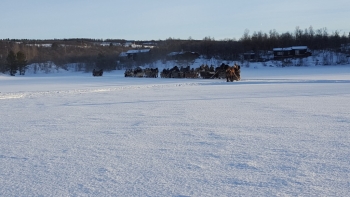 9-Sjunde-dagen-2-Dalarna-Femund-1024x576.jpg