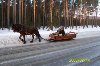 175.jpg