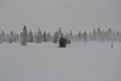 DSC_0456.JPG