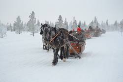 DSC_0465.JPG