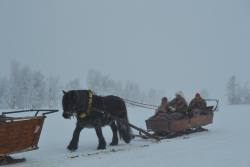 DSC_0508.JPG
