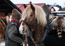 Arvid__ARG8436_WEBB_Foto AnnaReet Gillblad.jpg