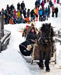 Fjåsen i Röros__ARG2674_WEBB_Foto AnnaReet Gillblad.jpg