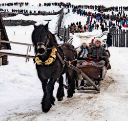 Kohl i Röros__ARG2697_WEBB_Foto AnnaReet Gillblad.jpg