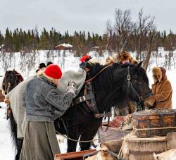Paus__ARG8611_WEBB_Foto AnnaReet Gillblad.jpg