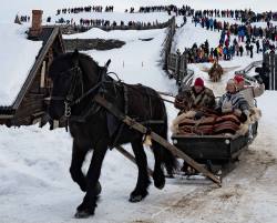 Siljar i Röros__ARG2690_WEBB_Foto AnnaReet Gillblad.jpg