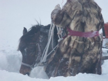 75-400x300.jpg