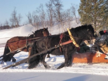 83-400x300.jpg