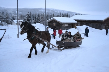6-1024x682.jpg